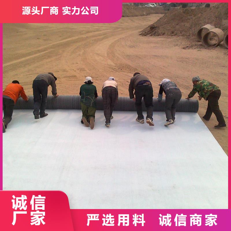 膨润土防水毯塑料土工格栅优势