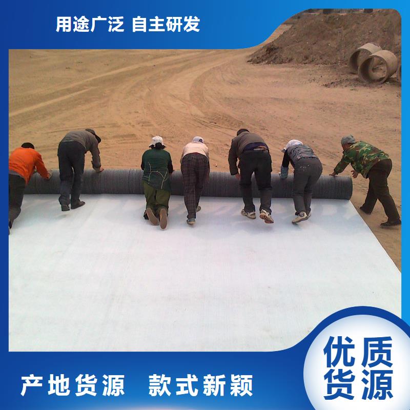 膨润土防水毯塑料土工格栅源头把关放心选购