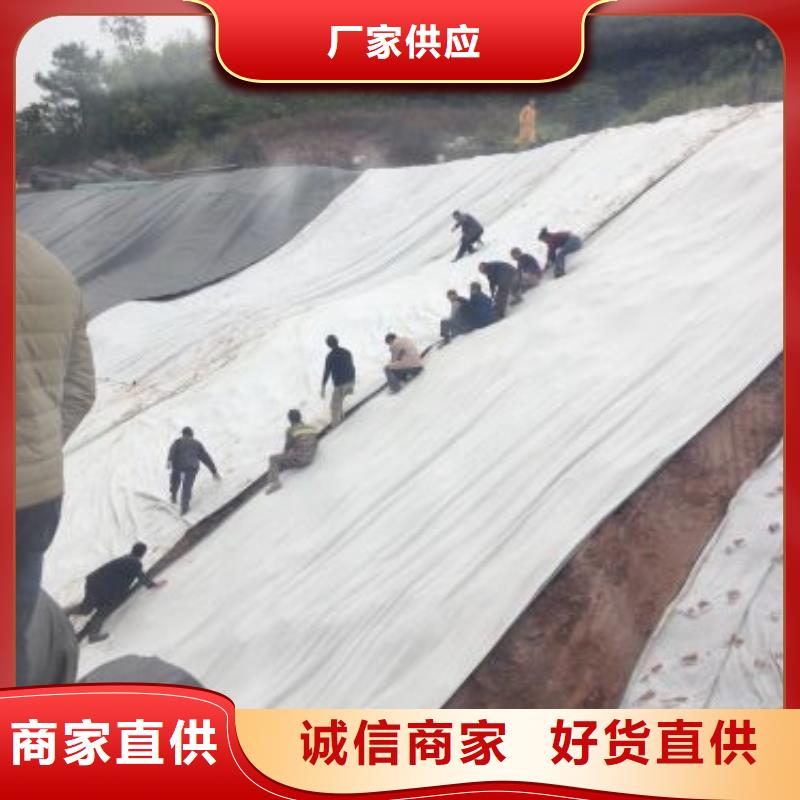 【膨润土防水毯】 钢塑土工格栅老品牌厂家当地供应商