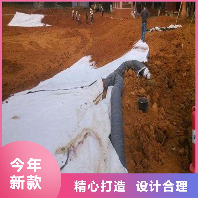 膨润土防水毯专业生产厂家