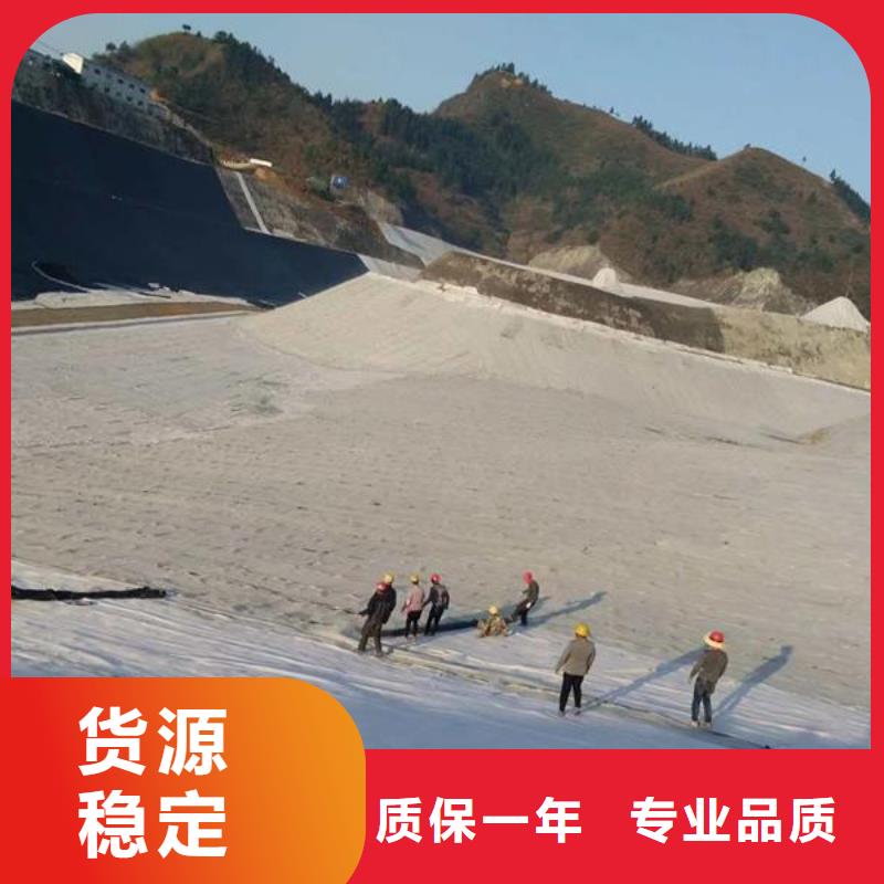 膨润土防水毯专业生产厂家