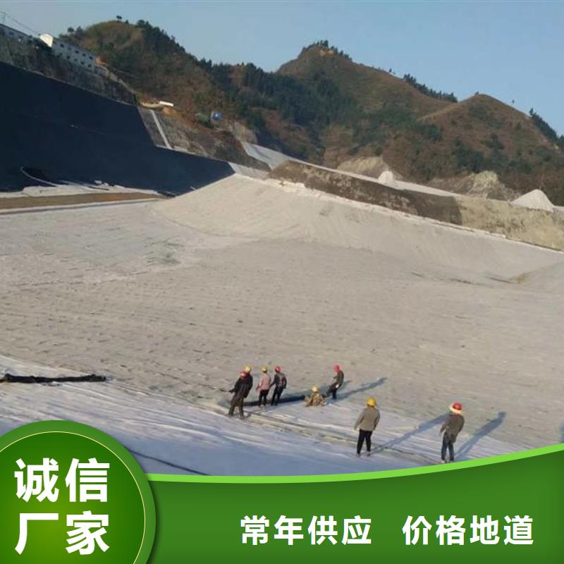 厂家直销心钱【膨润土防水毯】 钢塑土工格栅老品牌厂家
