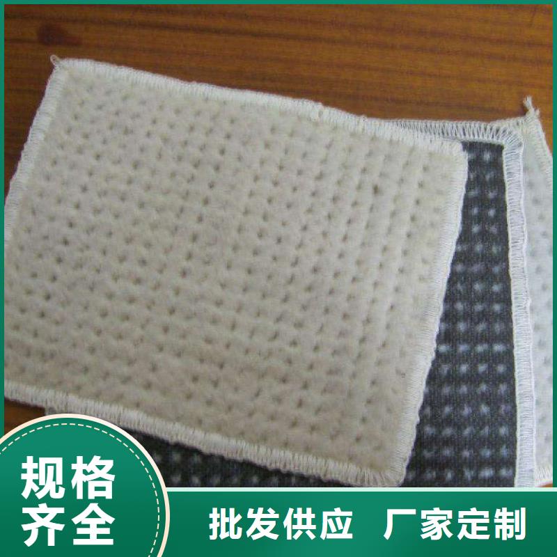 膨润土防水毯双向塑料土工格栅现货直供