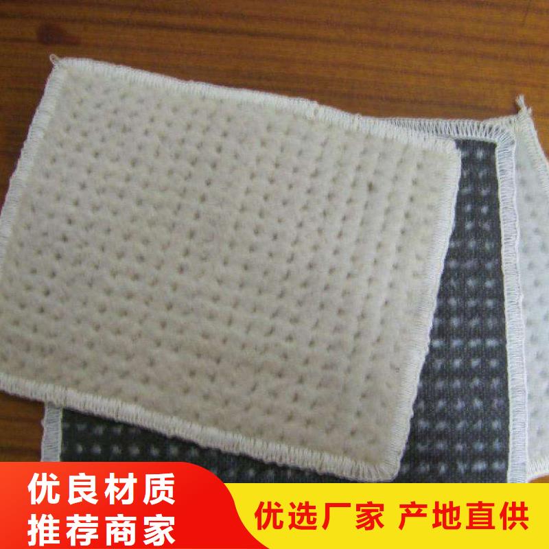 膨润土防水毯三维土工网垫免费询价