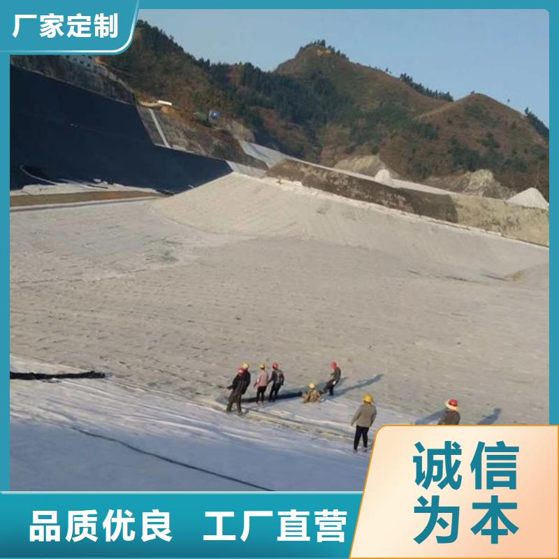膨润土防水毯_钢塑土工格栅价格实惠