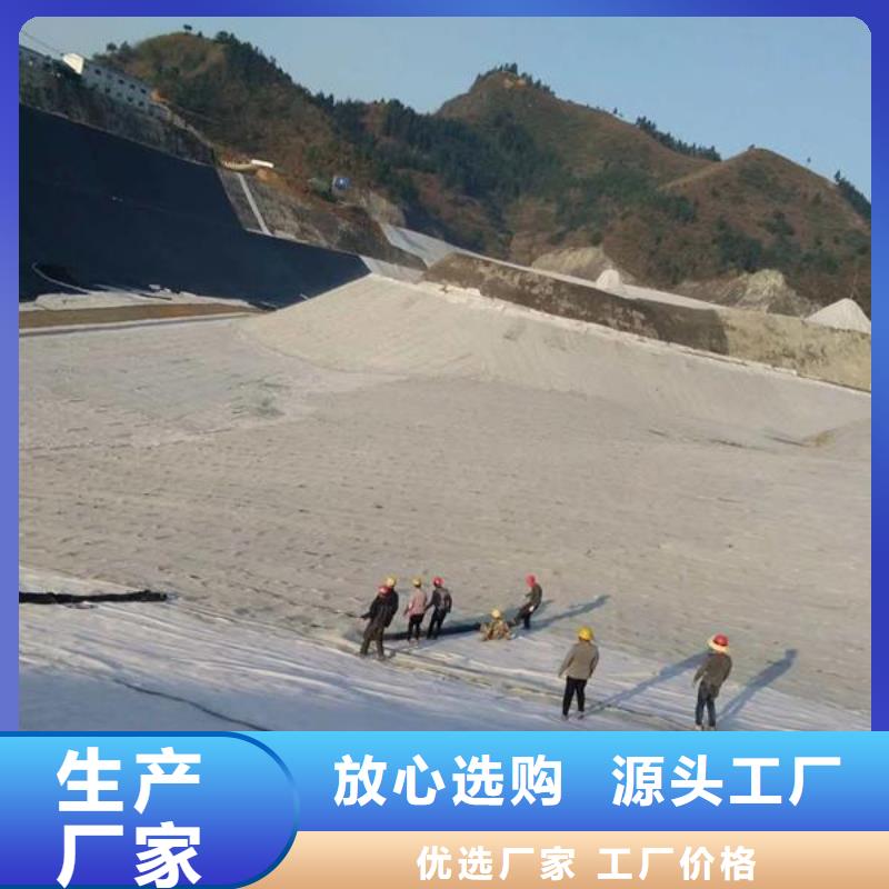 膨润土防水毯【HDPE土工膜】品牌大厂家