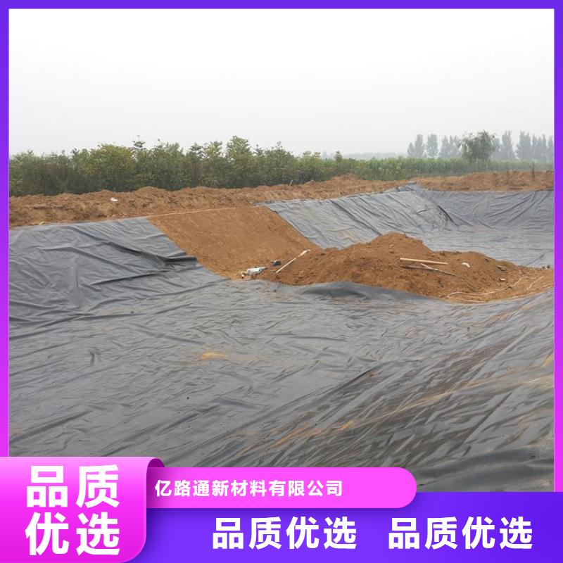 【 土工膜 HDPE土工膜常年供应】本地品牌