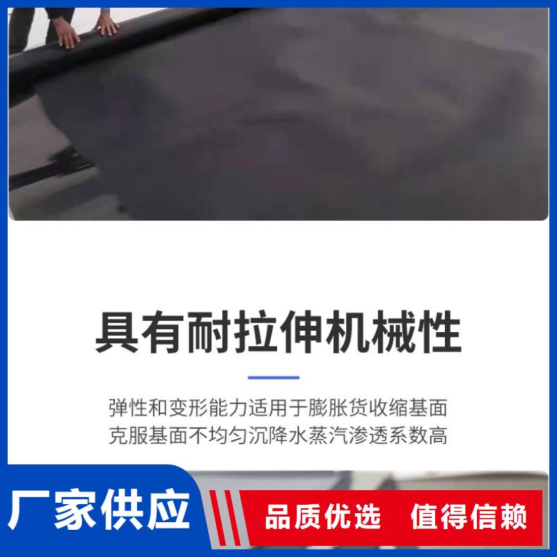 土工膜钢塑土工格栅N年大品牌