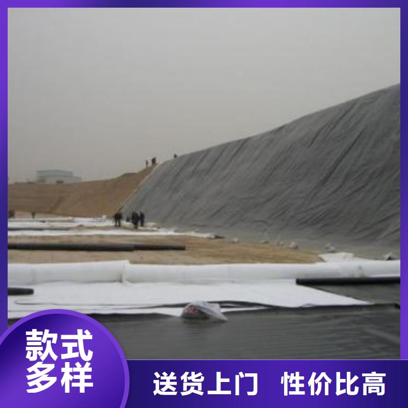 【 土工膜 HDPE土工膜常年供应】本地品牌
