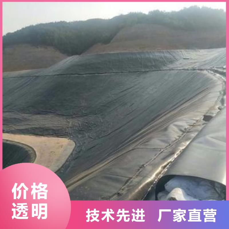 土工膜塑料土工格栅款式新颖
