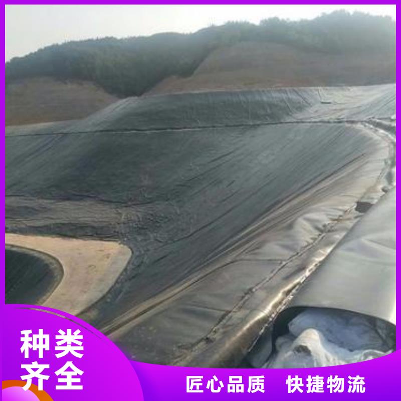 土工膜钢塑土工格栅N年大品牌