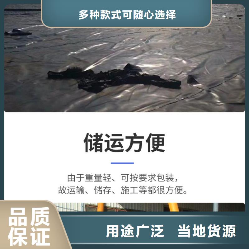 【 土工膜 HDPE土工膜常年供应】本地品牌