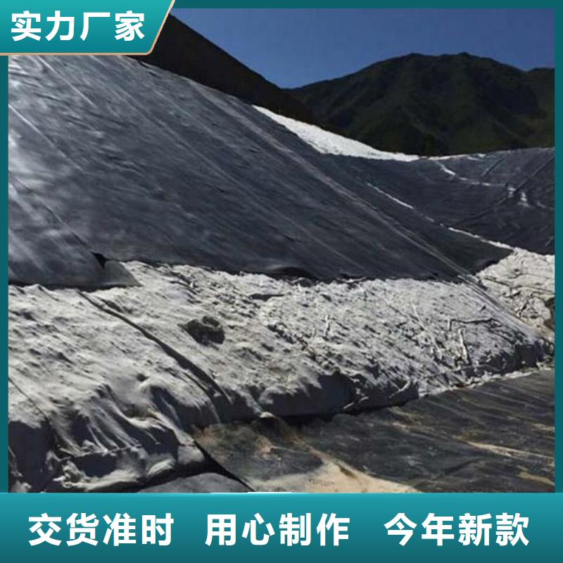【土工膜单向塑料土工格栅海量现货】