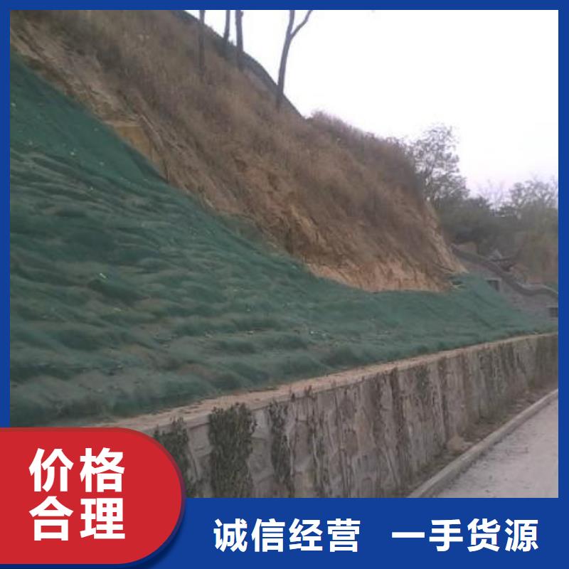 三维植被网双向塑料土工格栅源头厂家