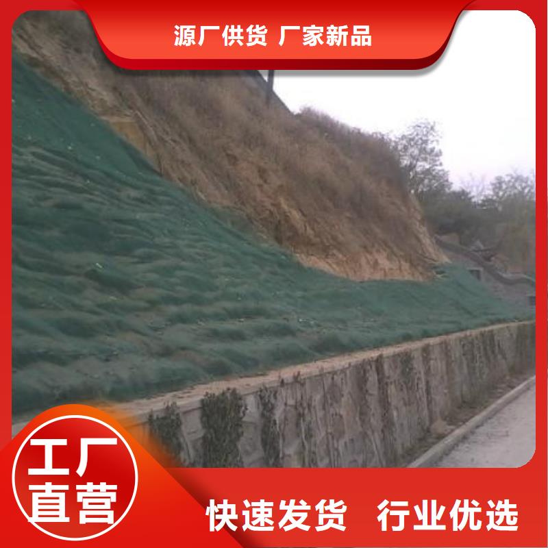 三维植被网,双向土工格栅厂家供应