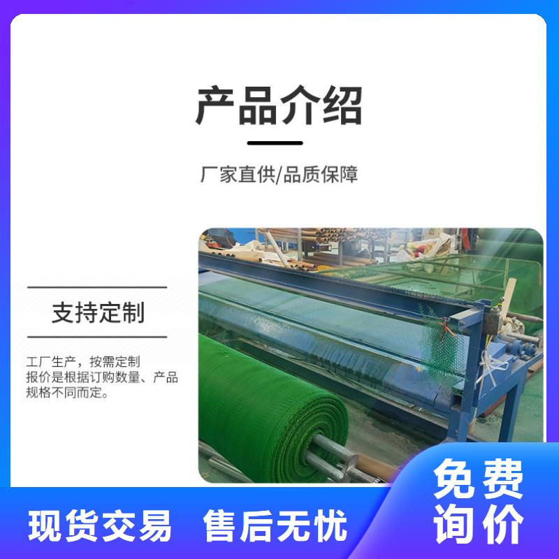 三维植被网,土工格室优质原料