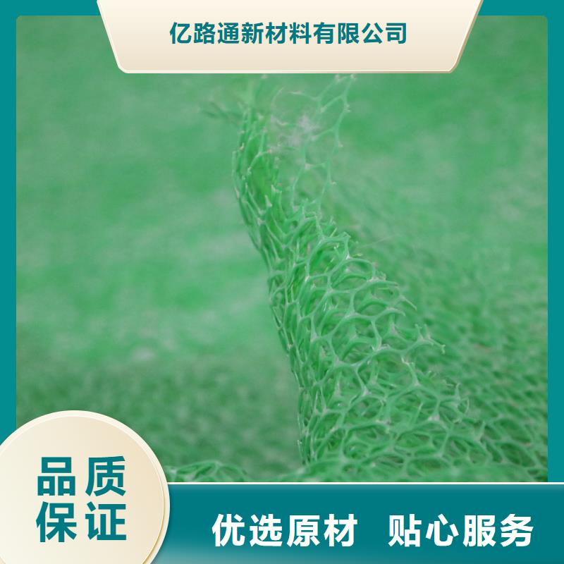【三维植被网,复合土工膜价格合理】