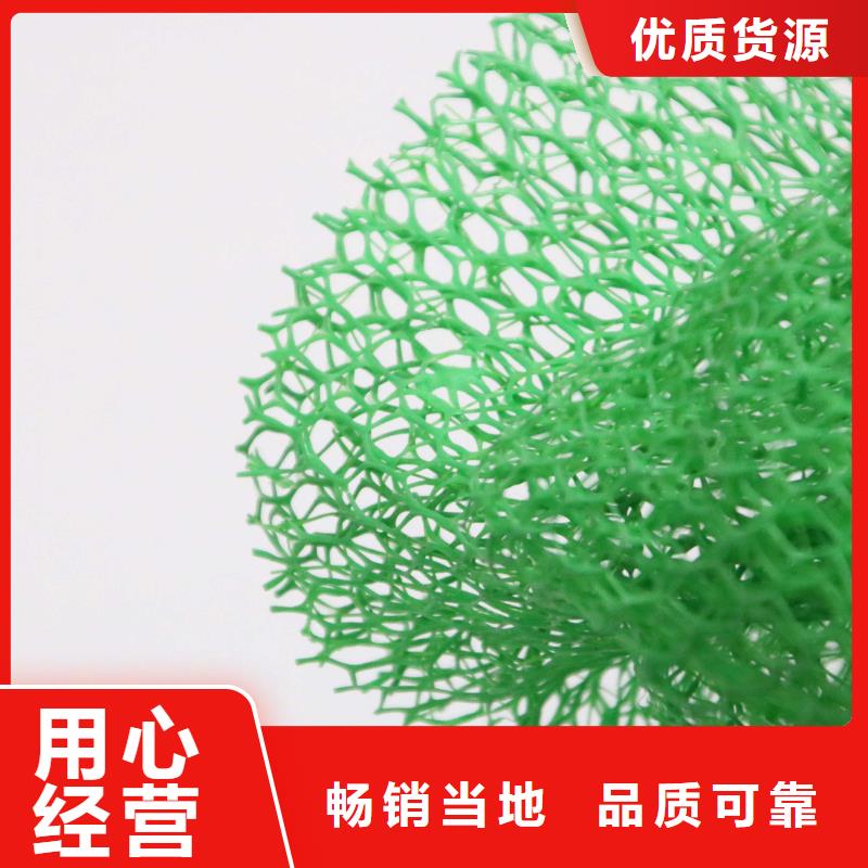 三维植被网双向塑料土工格栅源头厂家