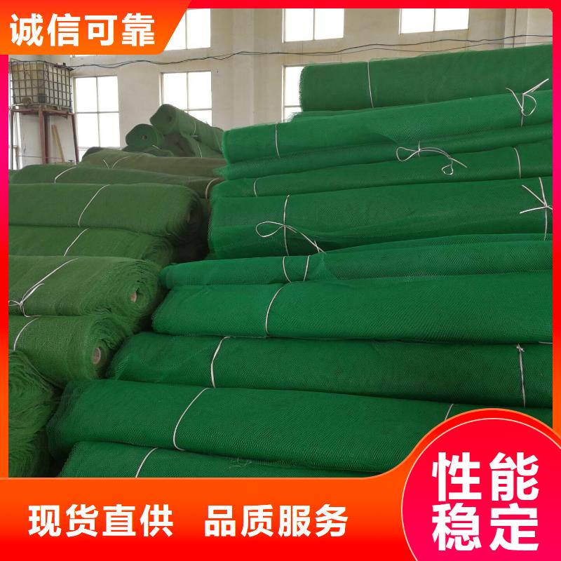 三维植被网单向塑料土工格栅专业生产N年