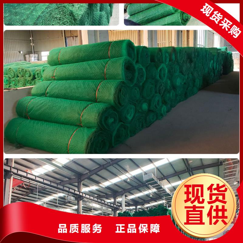 三维植被网塑料土工滤网畅销本地