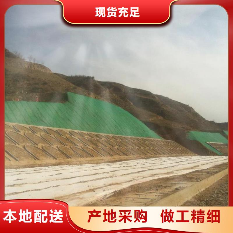 三维植被网塑料土工滤网畅销本地
