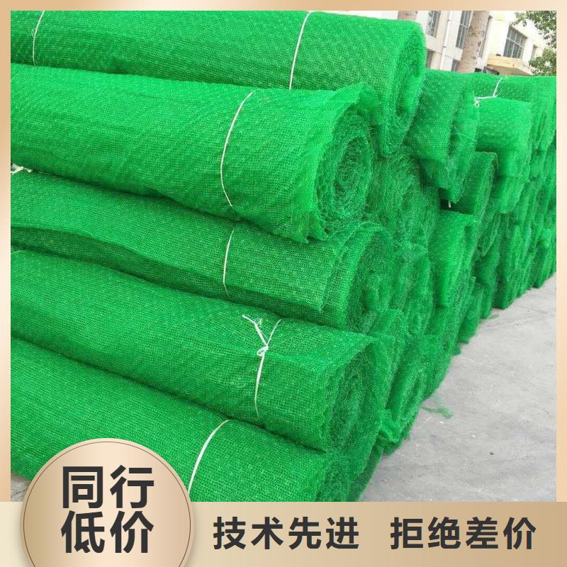 三维植被网单向塑料土工格栅专业生产N年