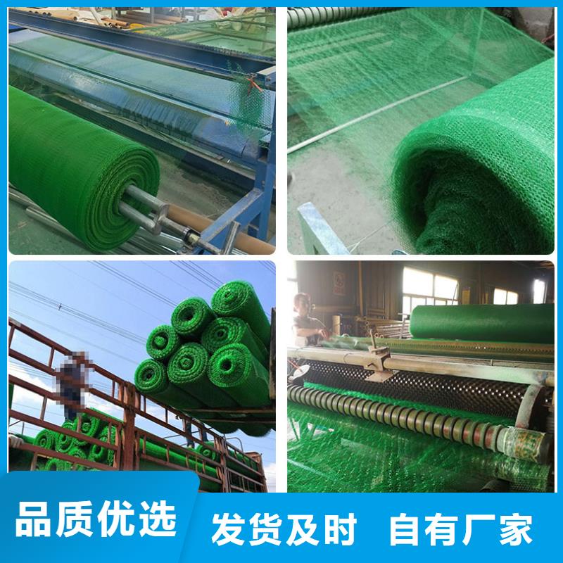 【三维植被网】双向土工格栅质保一年