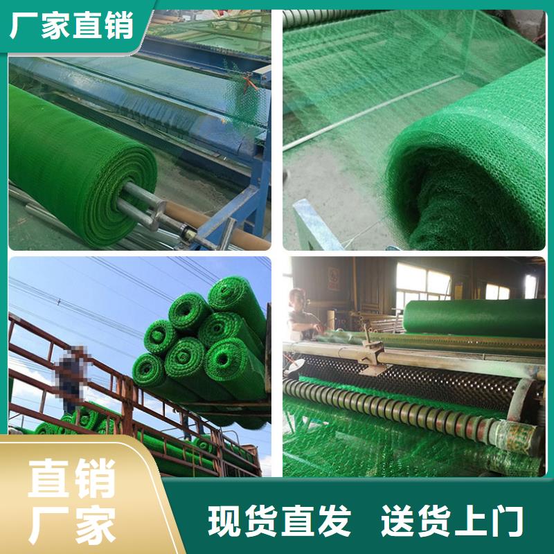 三维植被网单向塑料土工格栅专业生产N年