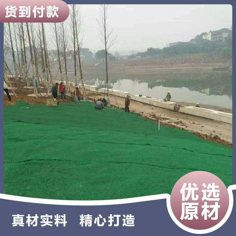 三维植被网双向塑料土工格栅源头厂家
