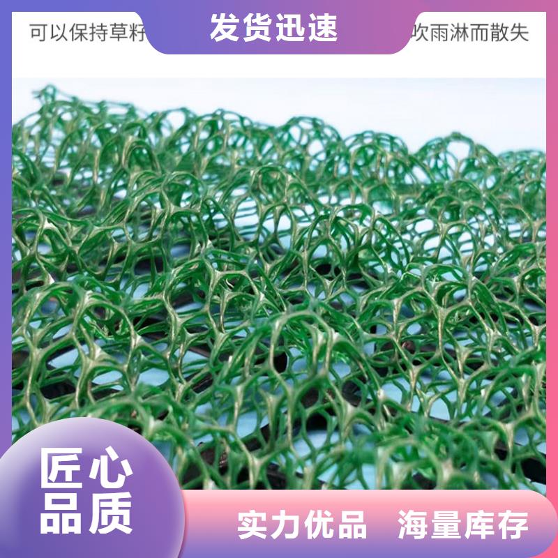 三维植被网,双向土工格栅厂家供应