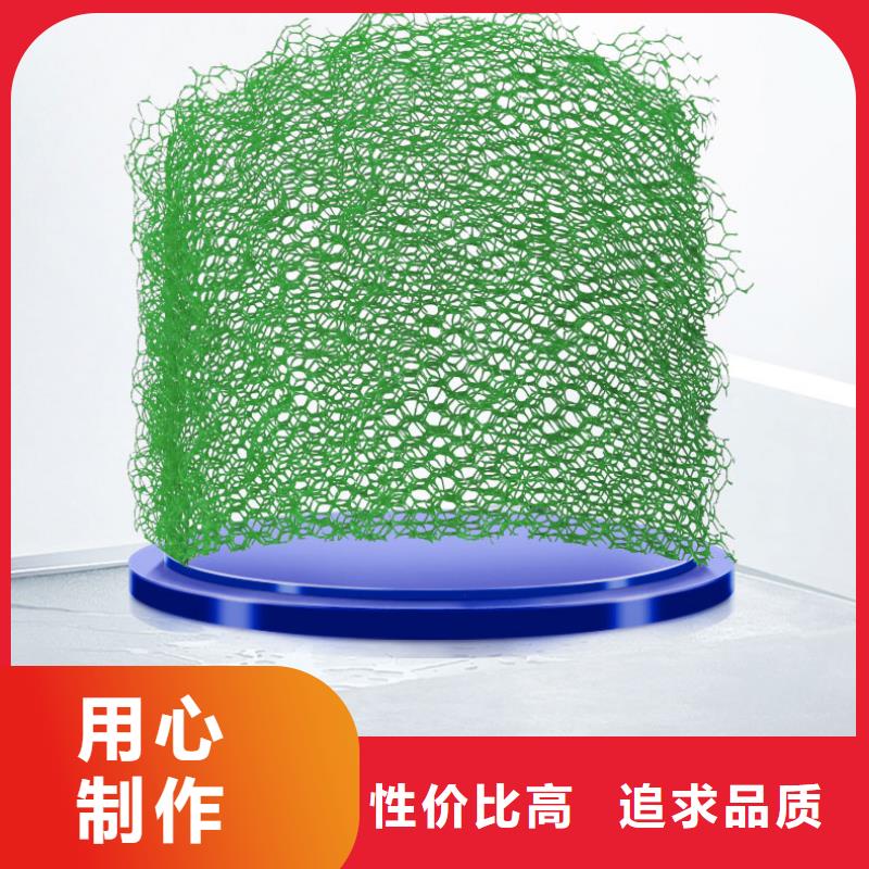【三维植被网】双向土工格栅质保一年