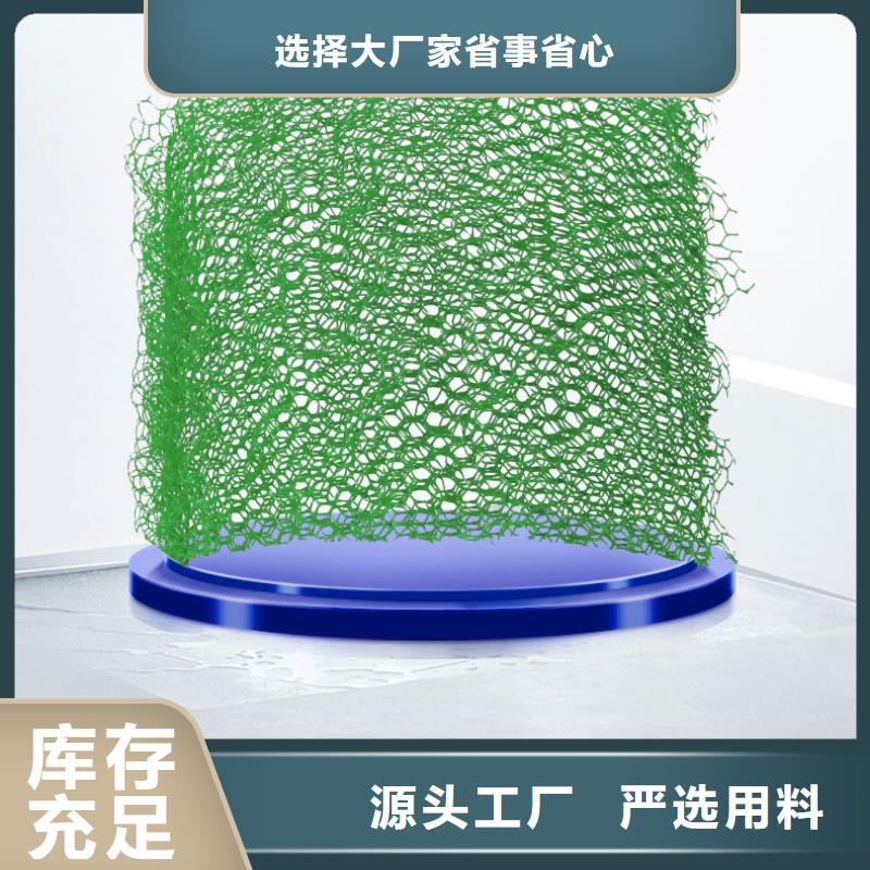 三维植被网双向塑料土工格栅源头厂家