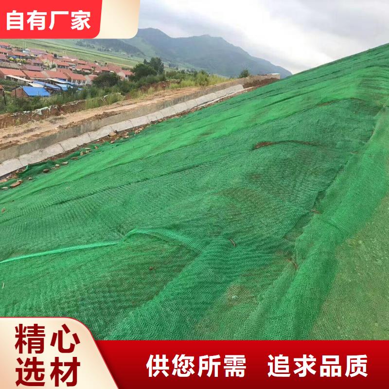 三维植被网膨润土防水毯实力优品