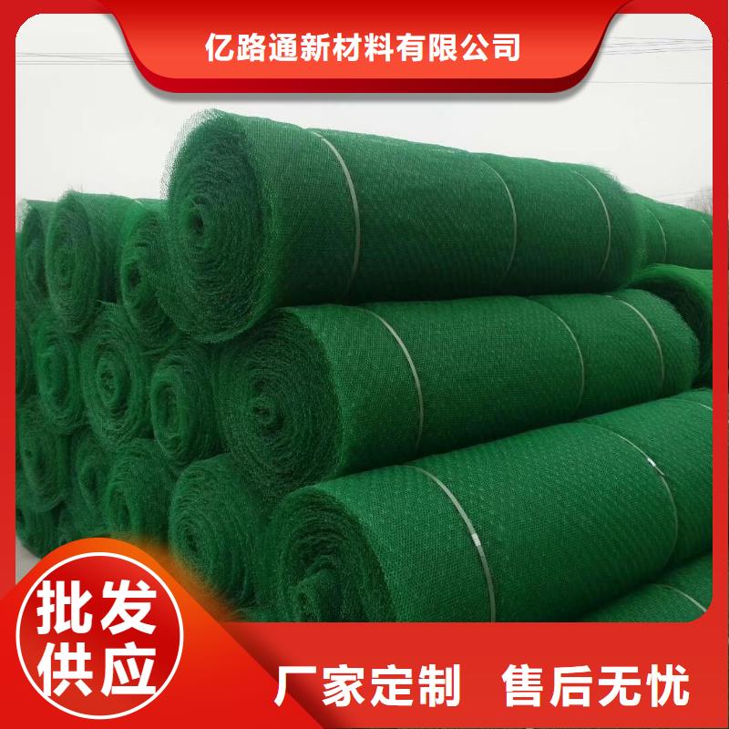 【我们更专业 三维植被网 膨润土防水毯注重细节】-亿路通新材料有限公司