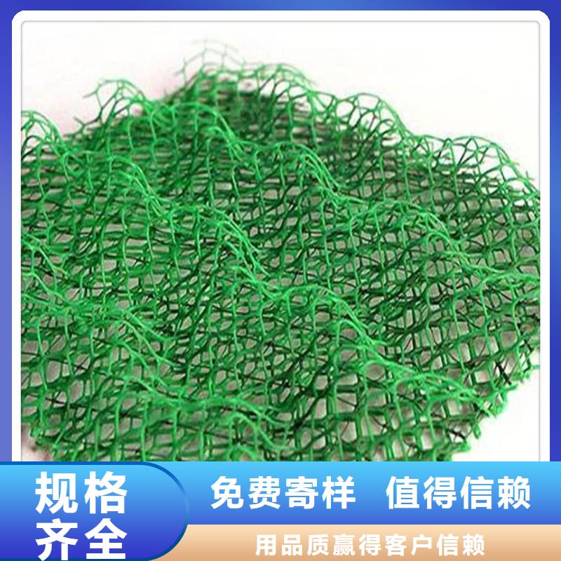 【三维植被网】双向土工格栅质保一年