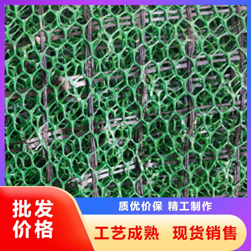 三维植被网双向塑料土工格栅源头厂家