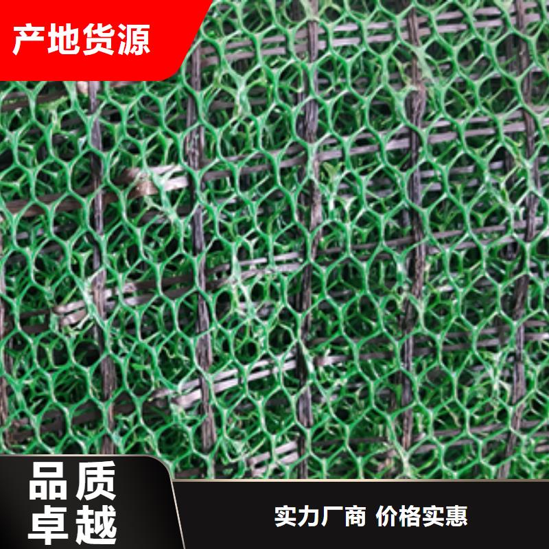 三维植被网膨润土防水毯实力优品