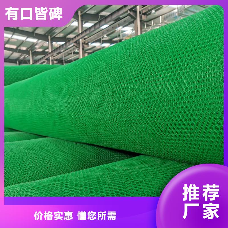 三维植被网,双向土工格栅厂家供应