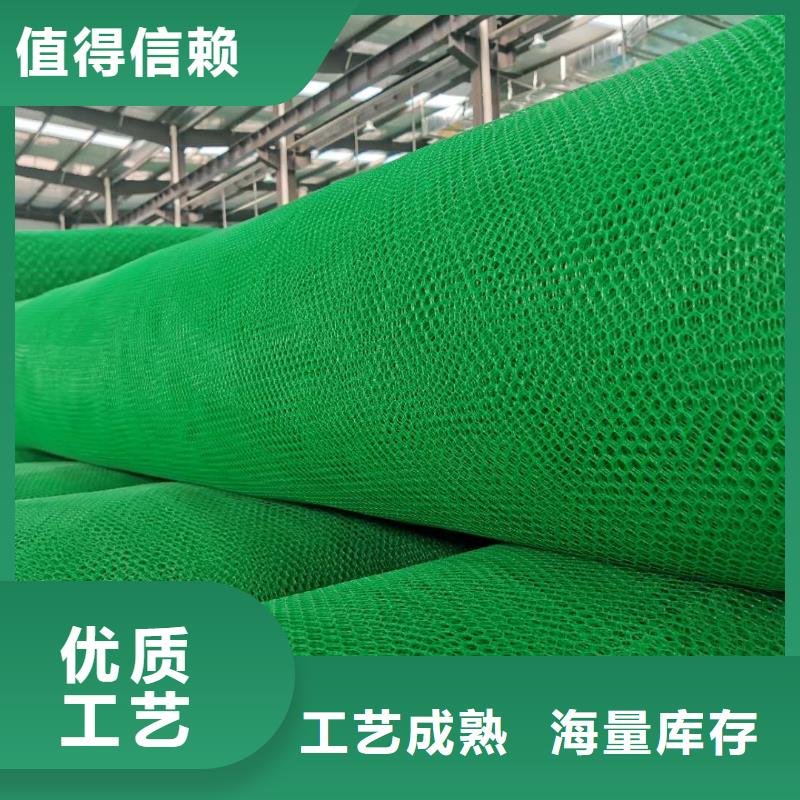 三维植被网塑料土工滤网畅销本地