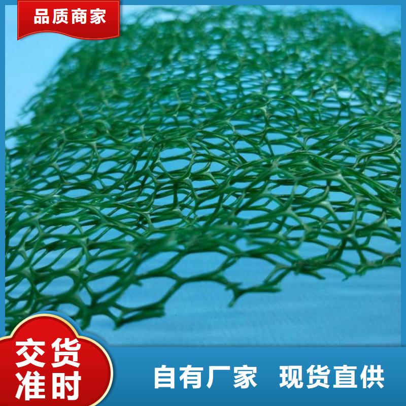 三维植被网凸结点钢塑土工格栅技术先进