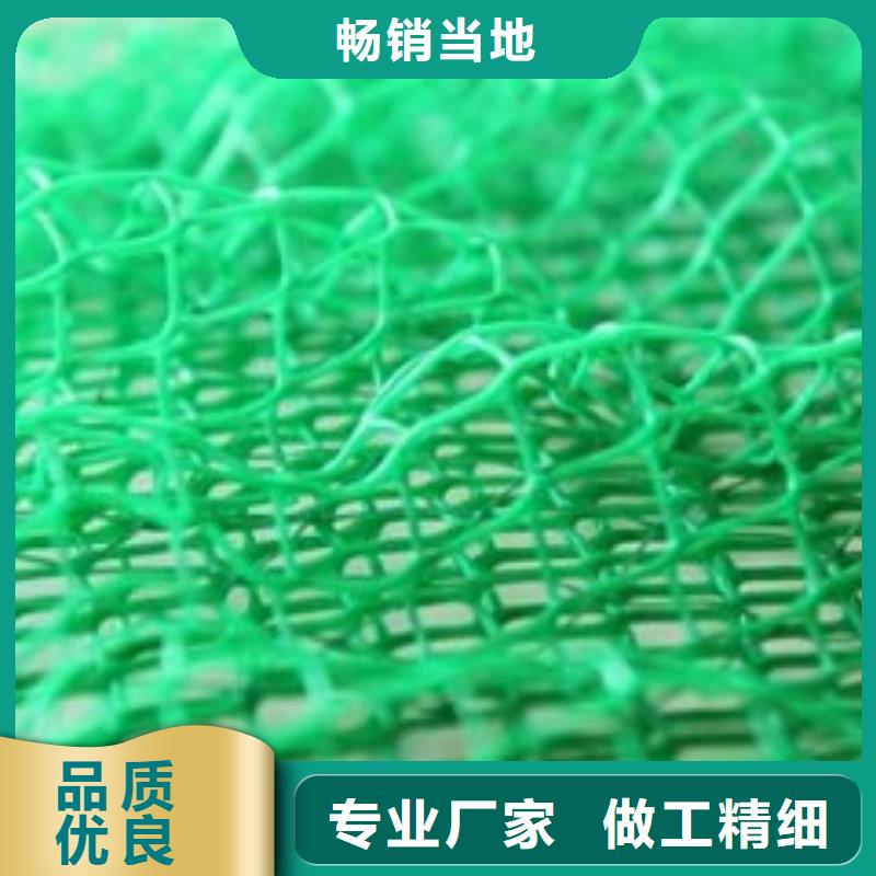 三维植被网凸结点钢塑土工格栅技术先进