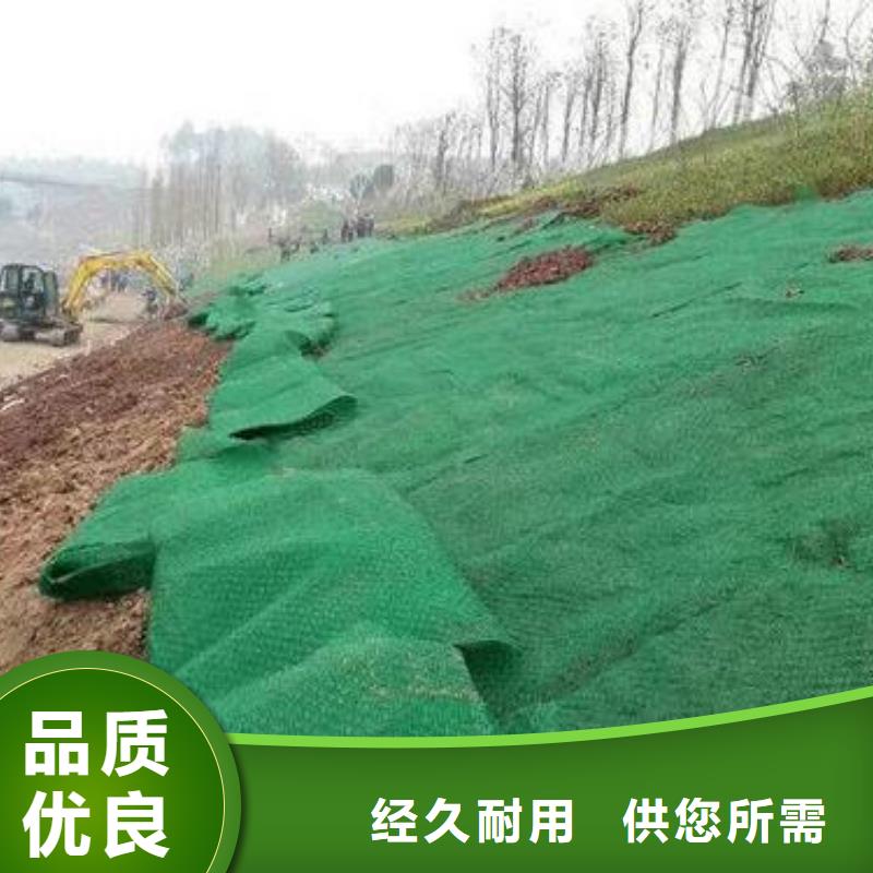 三维植被网双向塑料土工格栅源头厂家