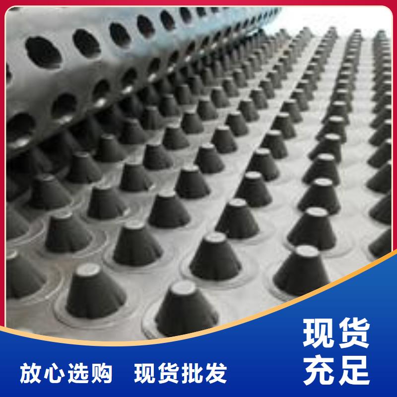 塑料排水板涤纶土工格栅畅销当地