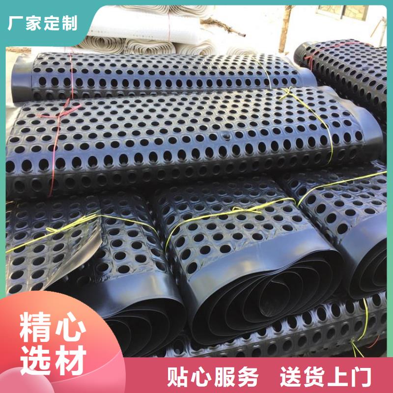 塑料排水板凸结点钢塑土工格栅产地直供