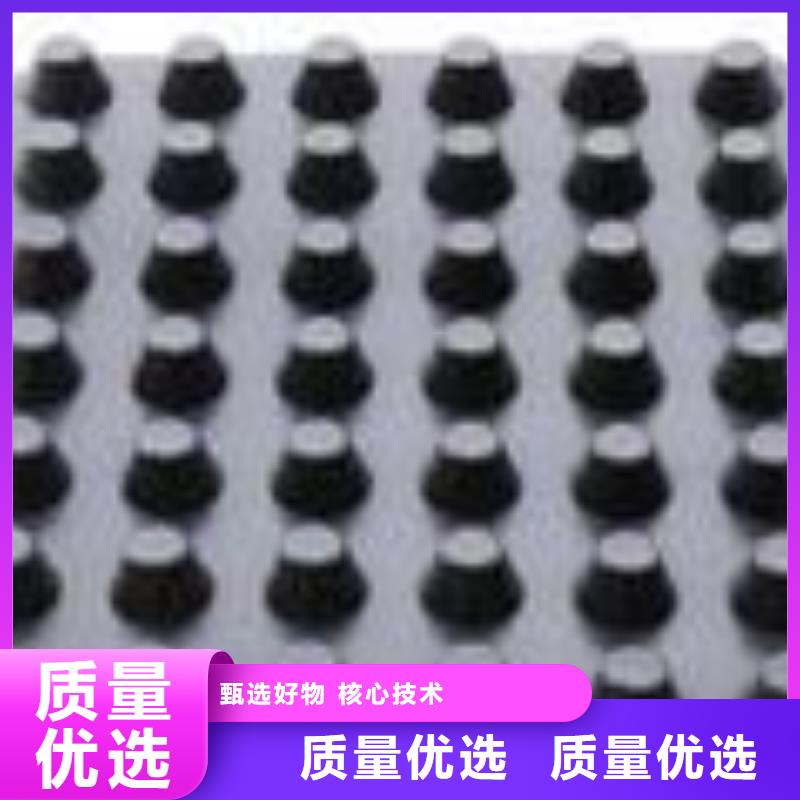 塑料排水板_【双向土工格栅】厂家现货批发