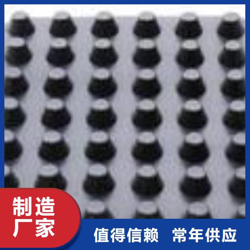 塑料排水板-防尘布产地直供