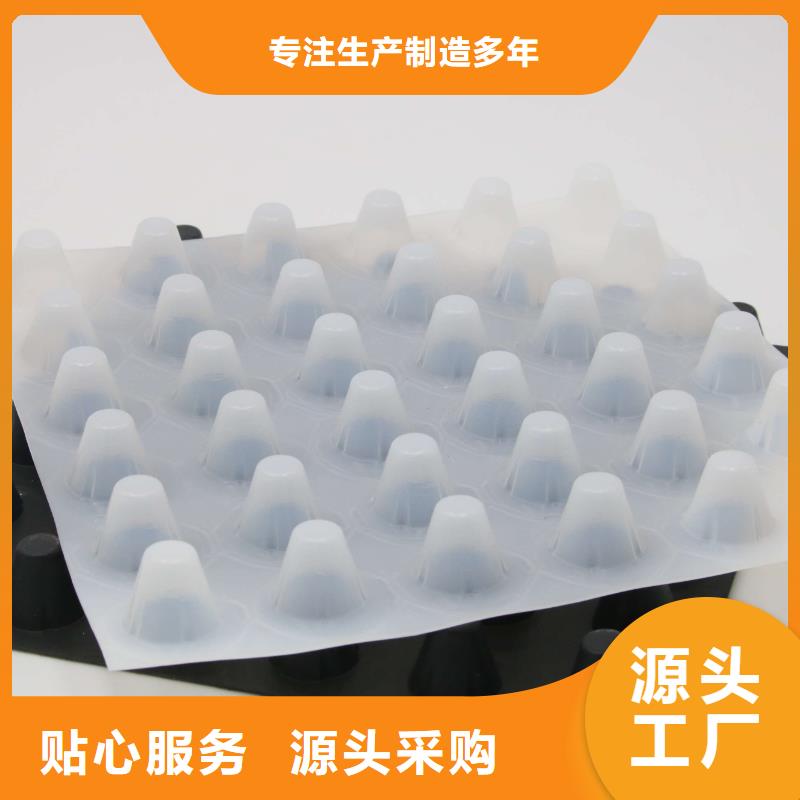 塑料排水板,三维土工网垫厂家大量现货