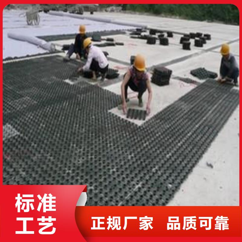 【塑料排水板hdpe士工膜源头厂家供应】