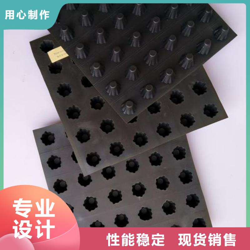 【塑料排水板hdpe士工膜源头厂家供应】