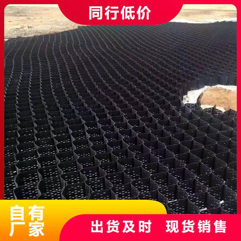 土工格室-凸结点钢塑土工格栅敢与同行比价格